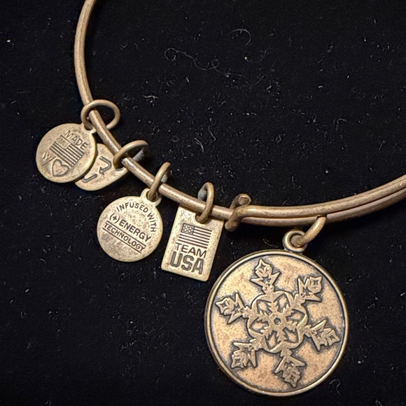 Alex and Ani Gold Charm Bangle - Picture 2 of 2